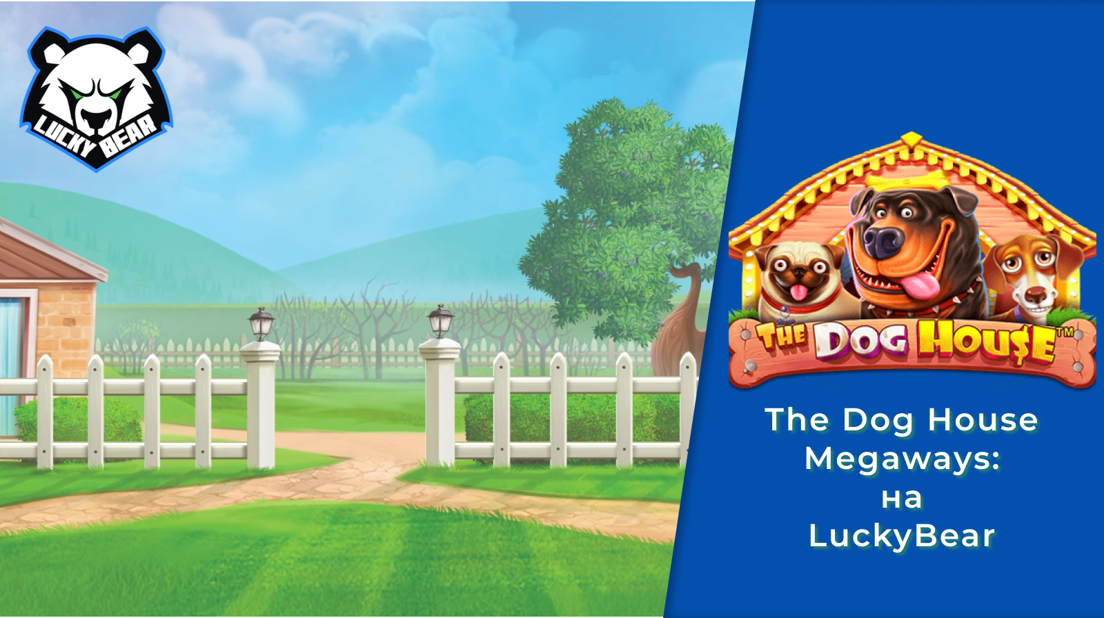 Ответственная игра и баланс эмоций в LuckyBear